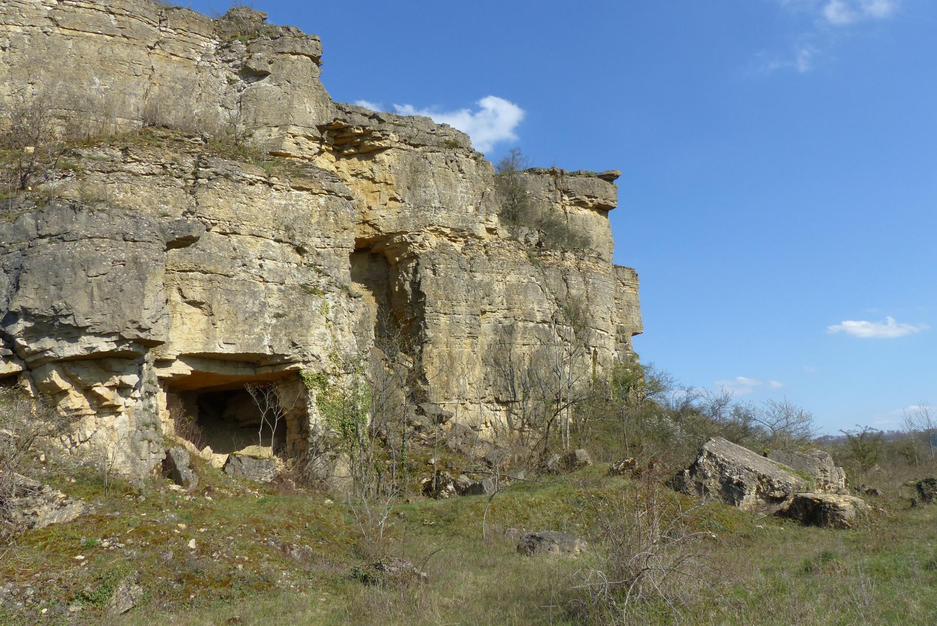 P1000249