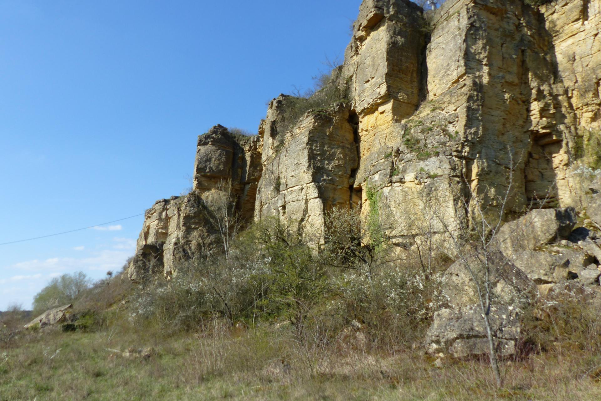 P1000252