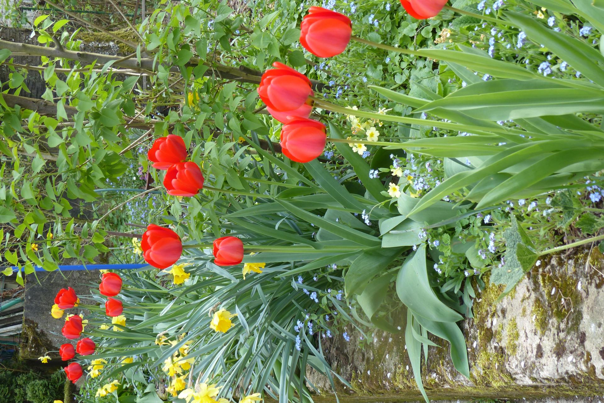 P1000857