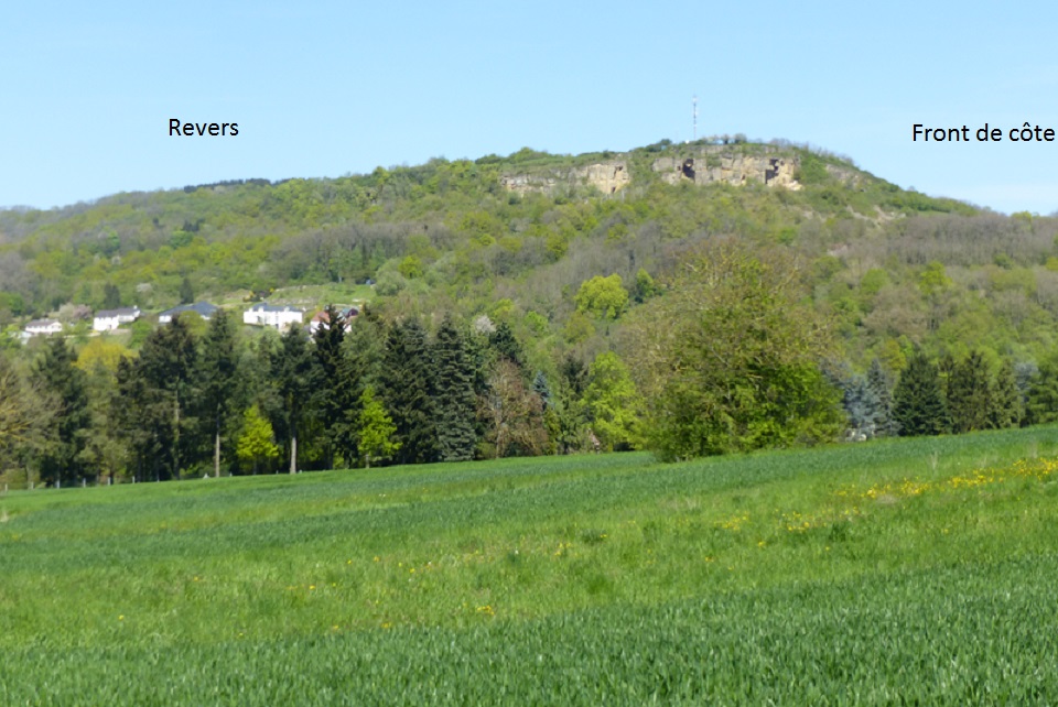 Le Stromberg , un pays de côte