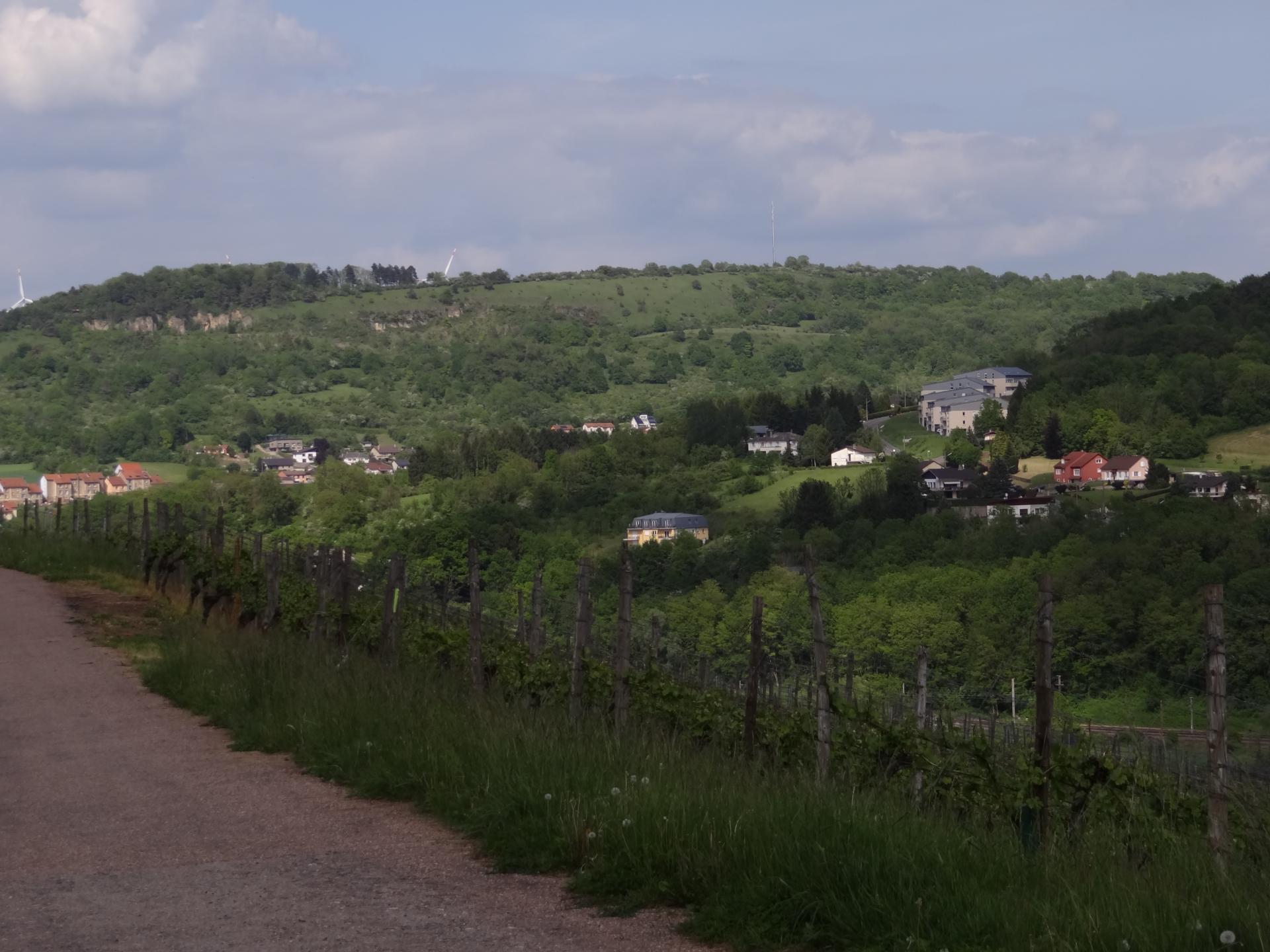 Dsc00652