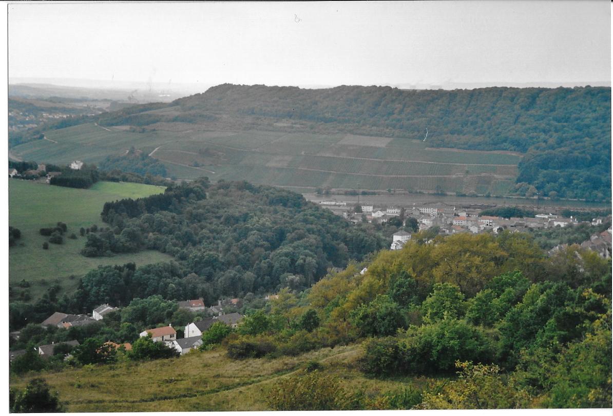 Hammelsberg kirschberg et stromberg