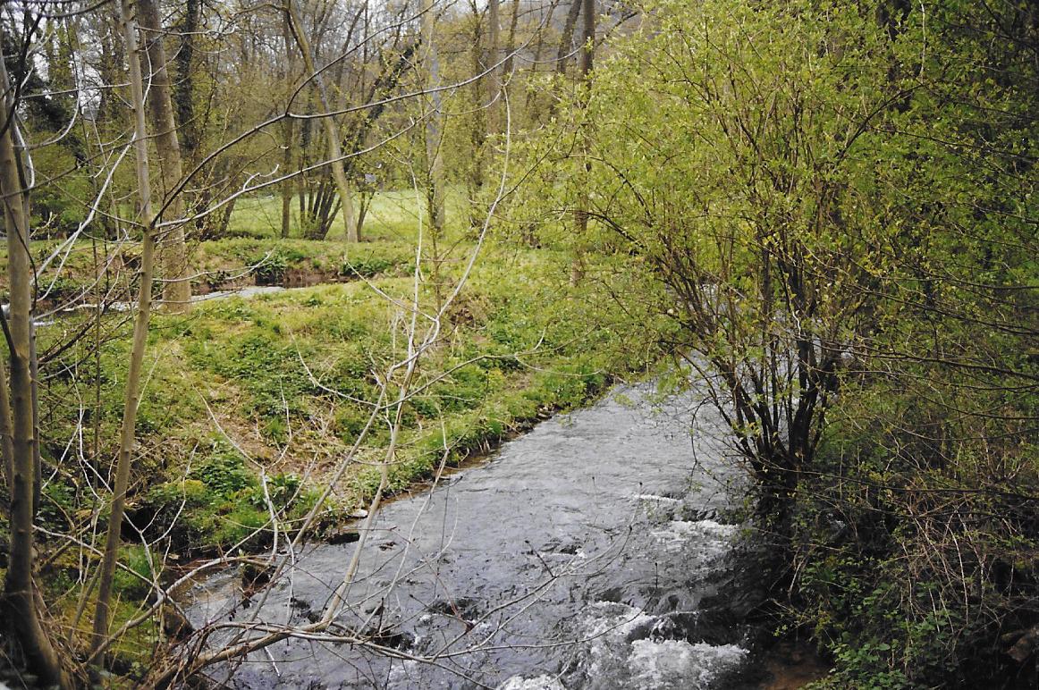 Le reuisseau de manderen