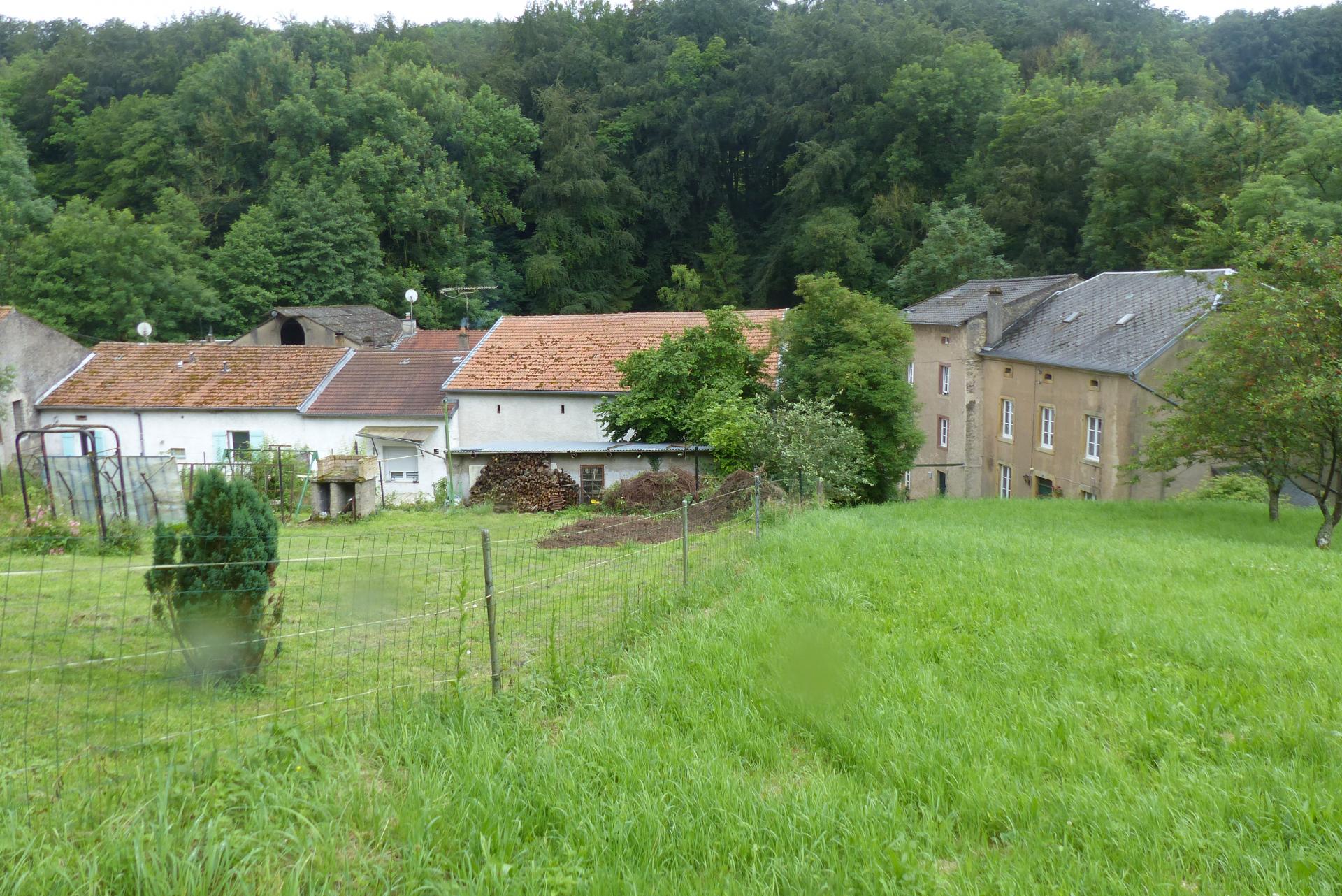 P1000523