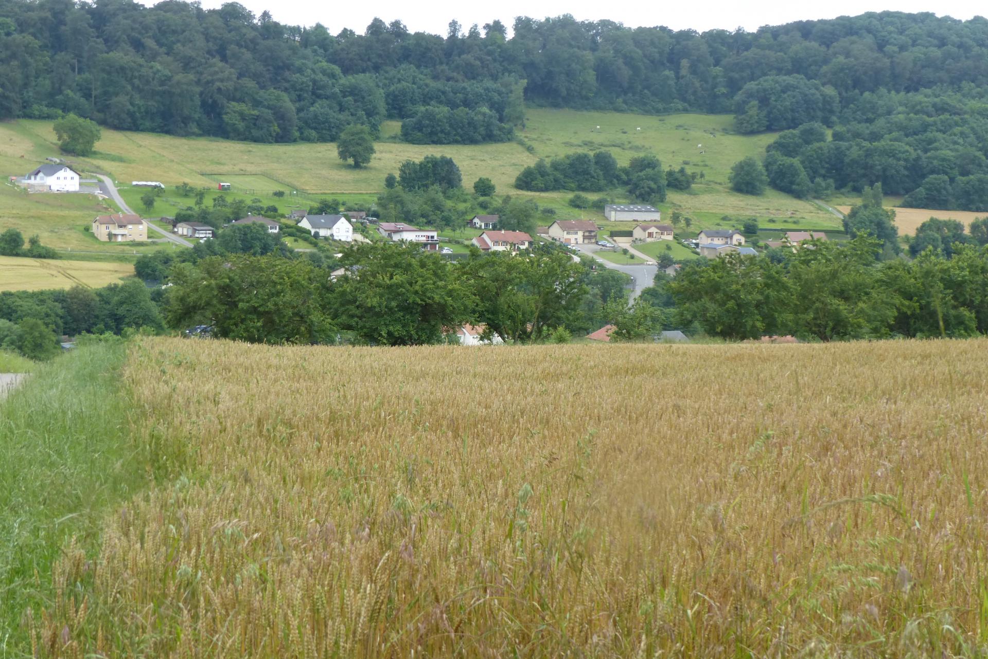 P1000530