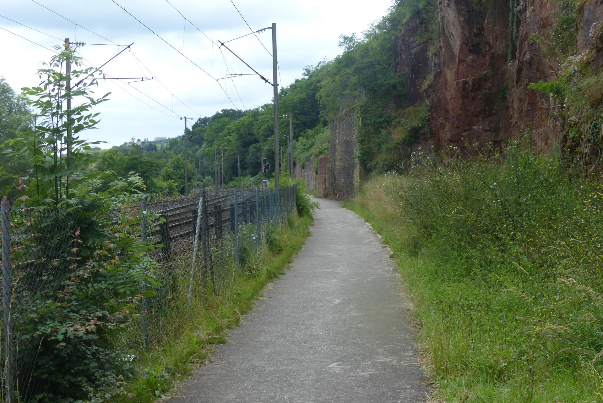 P1000534
