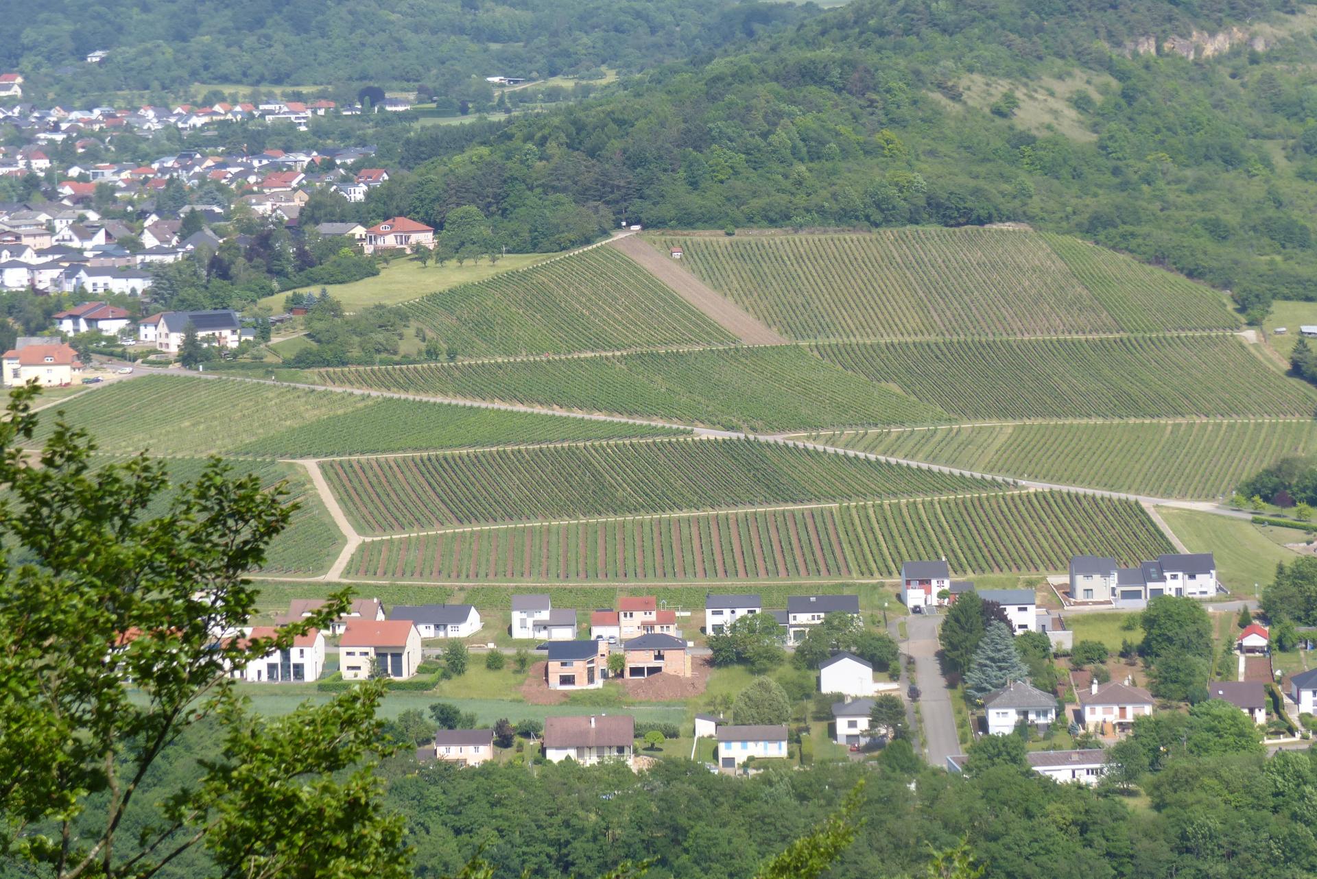 P1000989