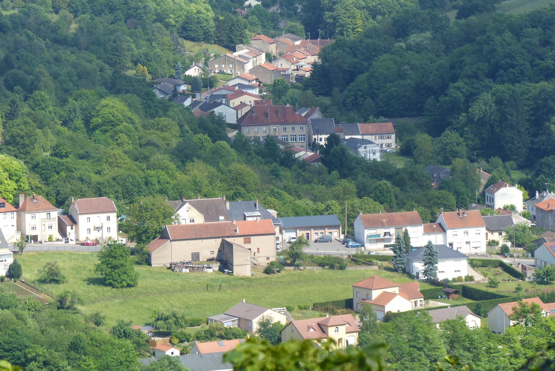 P1000993