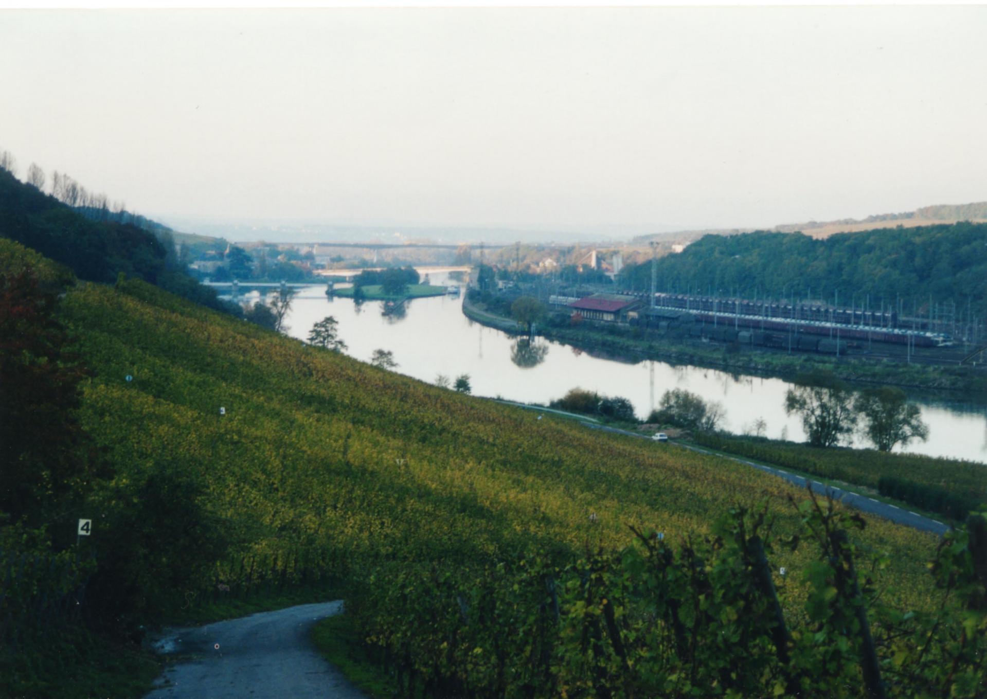 Vignoble et moselle
